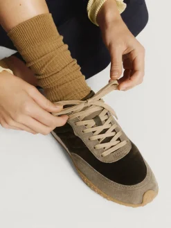 Bird-HOFF HAWK
